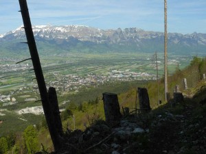 my local singletrack