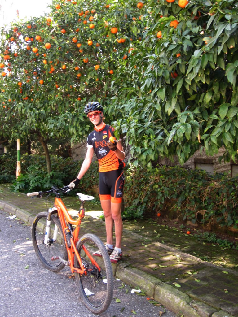 Orange