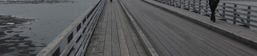 bridge to Bull Island