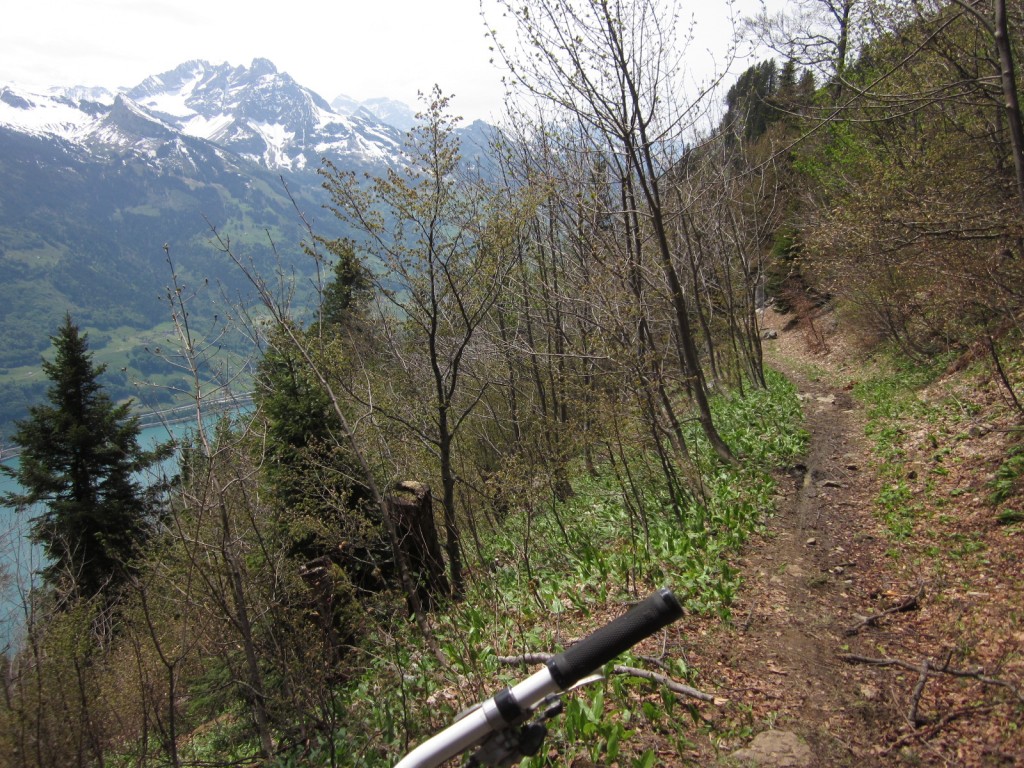 Alpine singletrack!