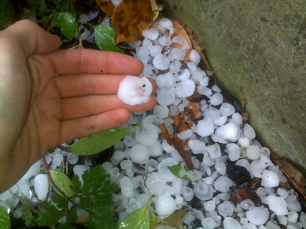 hailstones