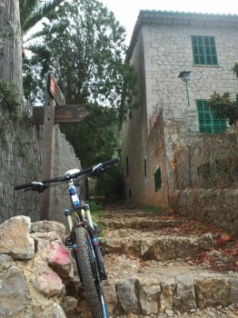 freeride mtb Mallorca