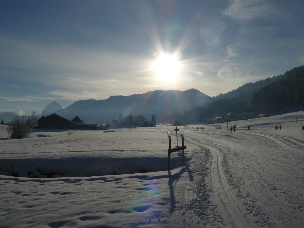 Einsiedeln Langlauf Loipe