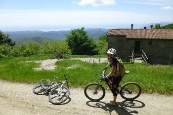 near the Nato Base, Finale