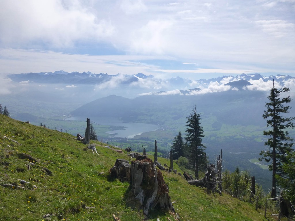 P1000845_1