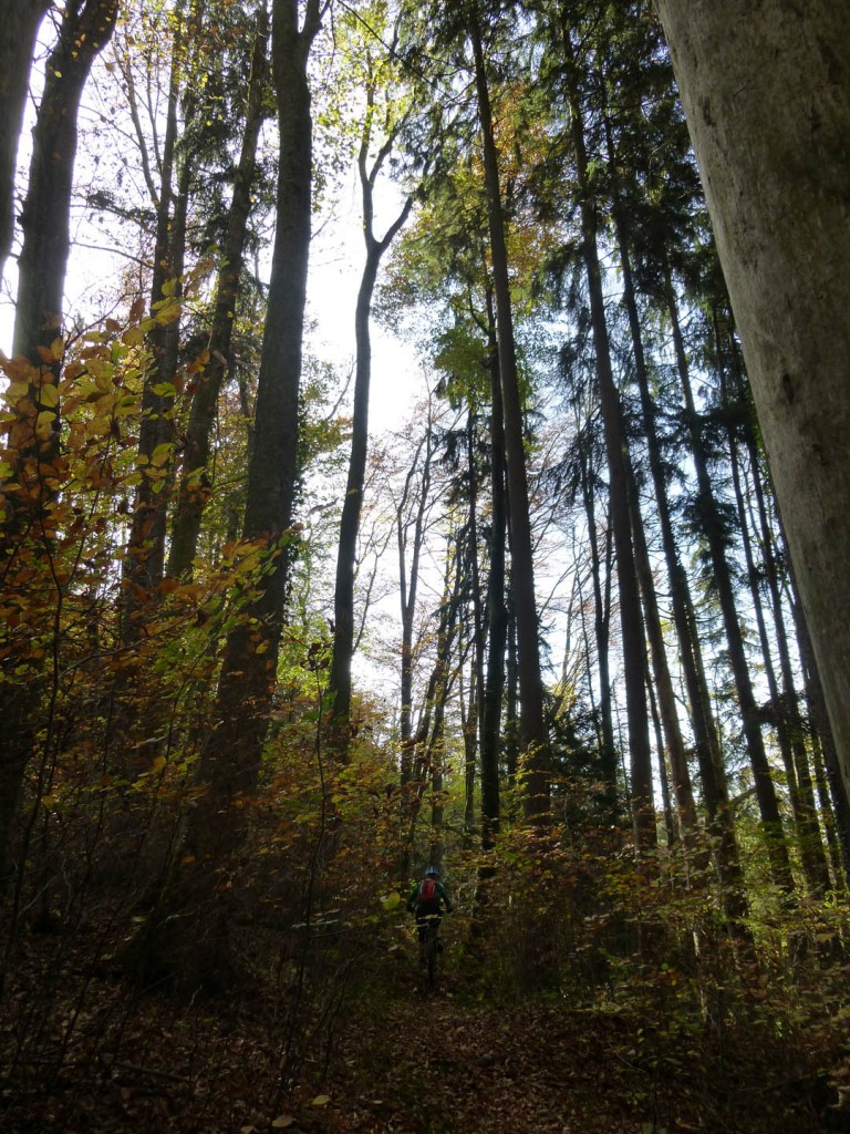 P1000934
