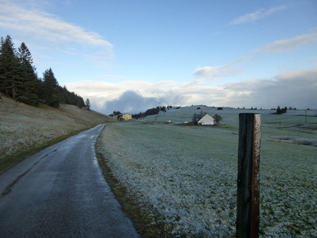 P1000989