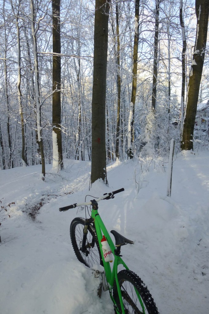 fresh powder bike skiing