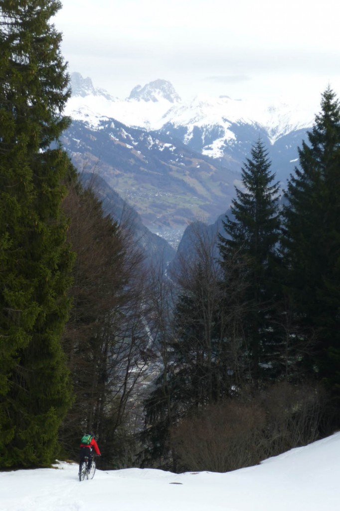 P1010262